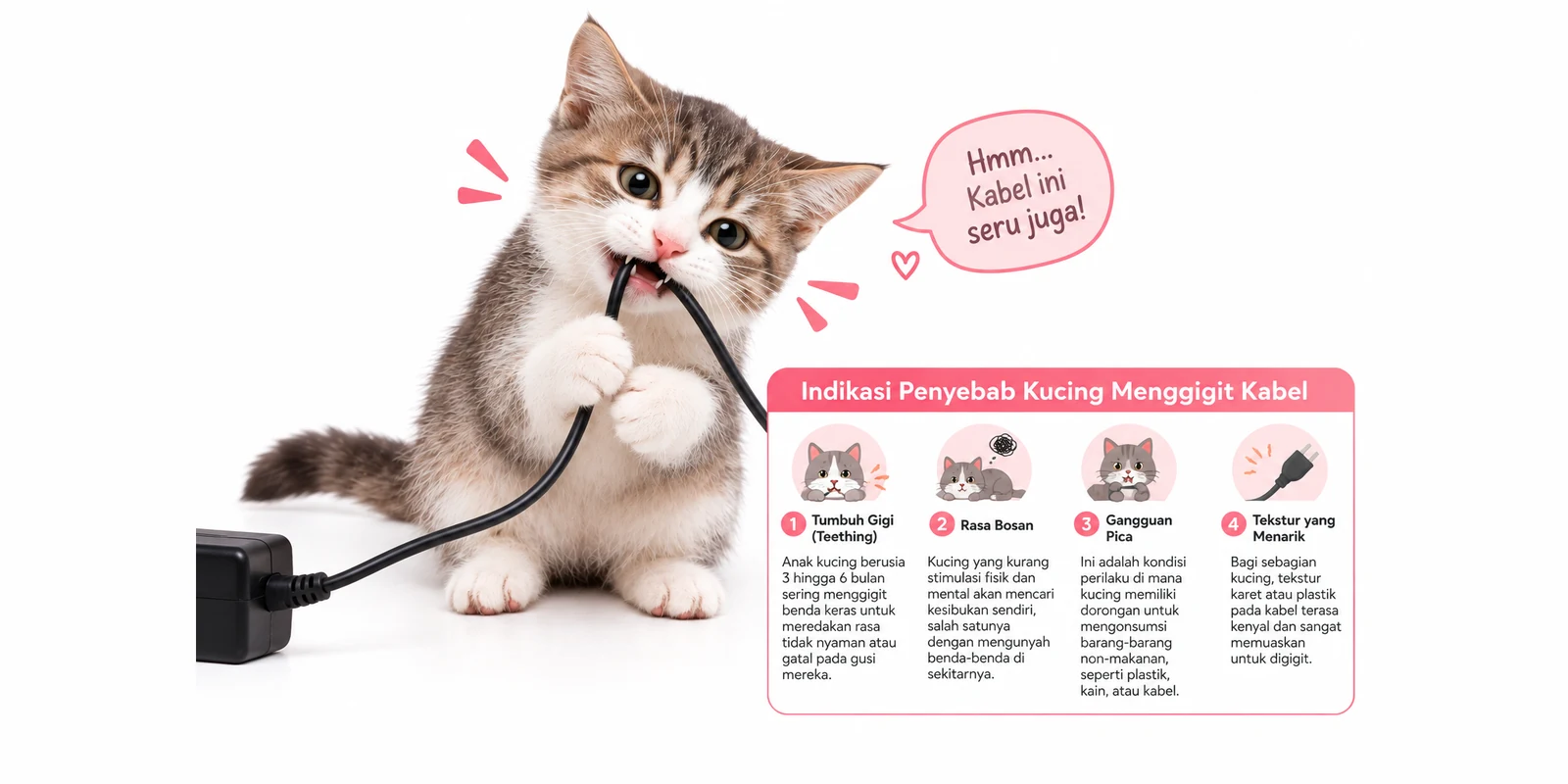 Cara Mengatasi Kucing Suka Menggigit Kabel di Rumah