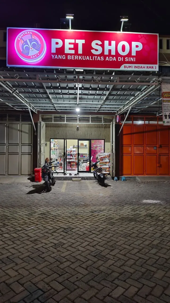 Kisah Bangkit Central Cat's: Dari Emperan ke Petshop