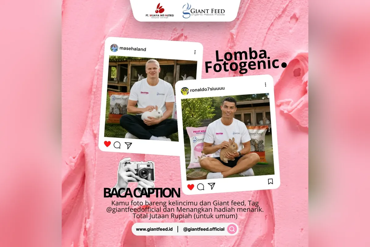 Lomba Photogenic Giant Feed Diperpanjang, Rebut Hadiahnya!